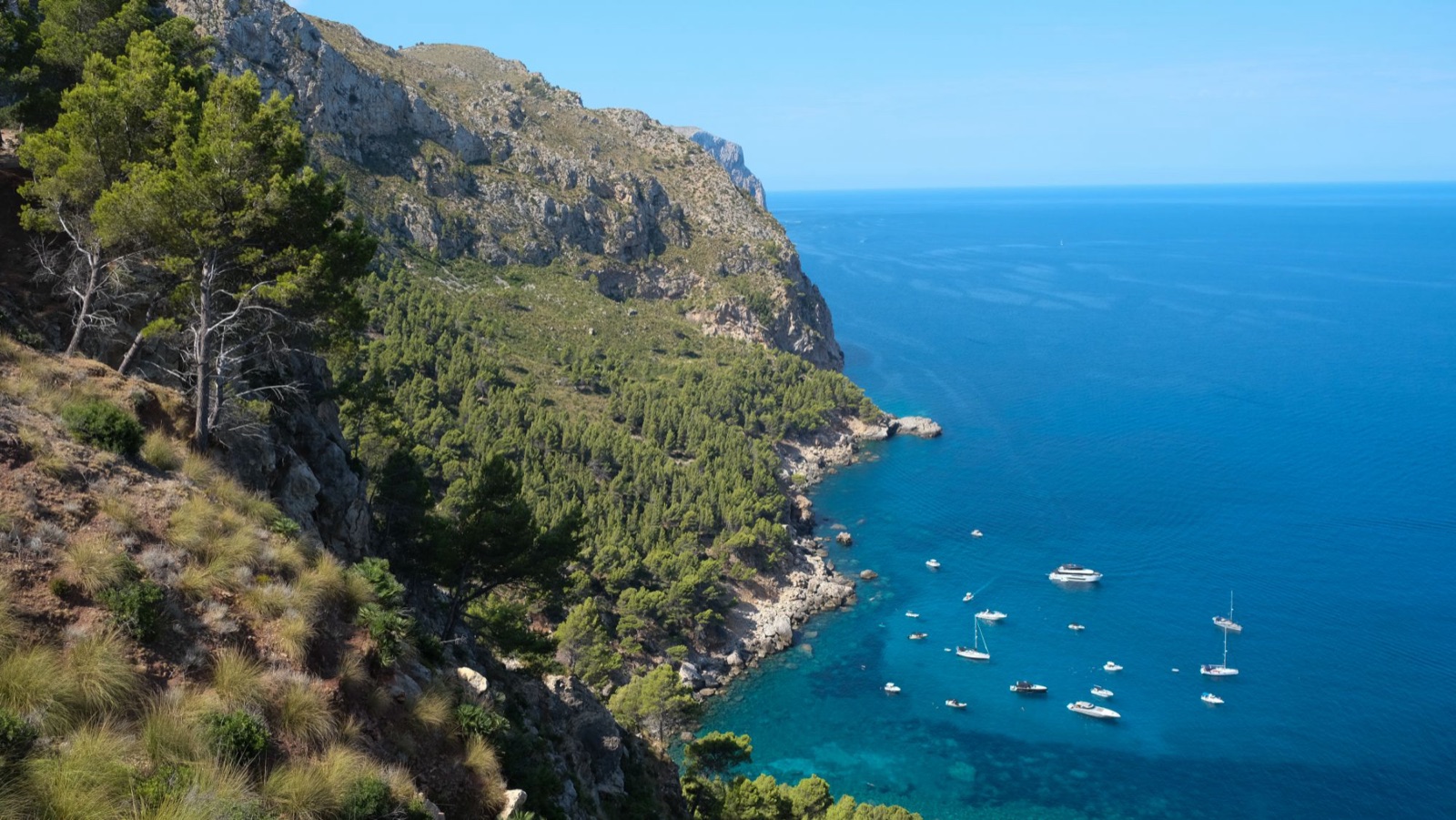 Boats anchored in a turquoise cove below pine-covered cliffs.
